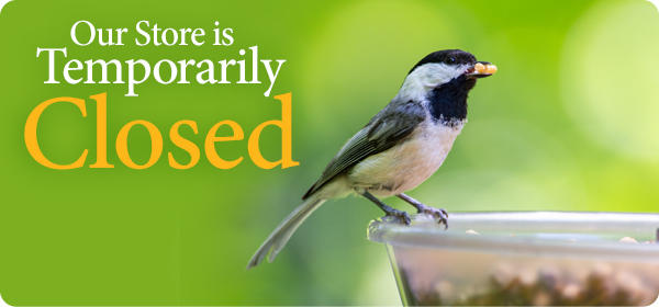 Store Temporarily Closed